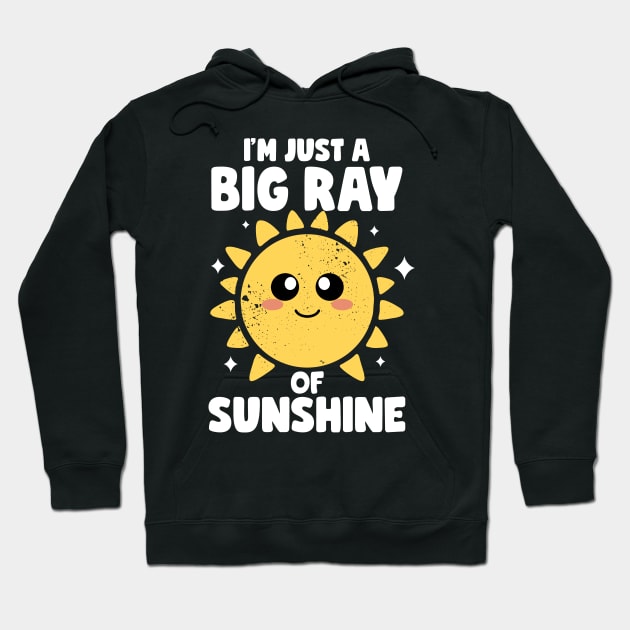 I'm Just A Big Ray Of Sunshine Kindness Irony And Sarcasm Hoodie by MerchBeastStudio